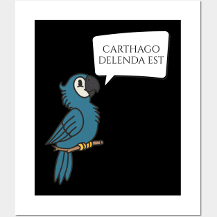 Carthago Delenda Est - Ancient Rome - Latin Talking Parrot Posters and Art